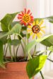 Gerbera Summer Plant Stake- Set of 2 on Sale