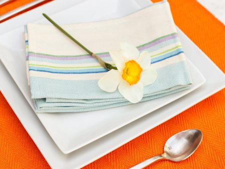 Clementine Placemats - Set of 2 Online Hot Sale