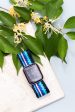 Lapis Apple Band on Sale