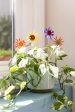 Gerbera Summer Plant Stake- Set of 2 on Sale